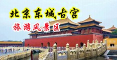 黑人用大鸡巴操爆女人逼的视频中国北京-东城古宫旅游风景区
